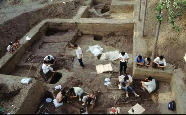 六畜兴旺发大家是什么生肖，六畜兴旺是代表什么生肖_六畜兴旺的动物是什么（“六畜兴旺”指的是哪些动物）