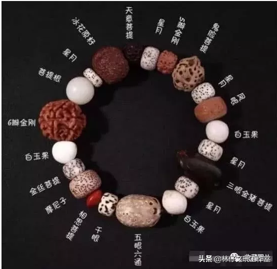 适合做手串的植物种子，适合做手串的植物种子是什么（这些路边捡的树籽儿串成手串）