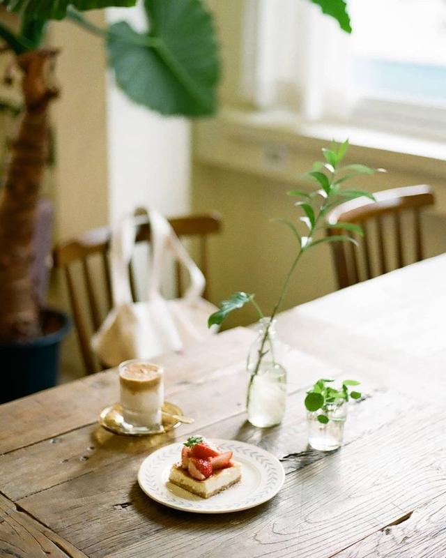 美好阳光且干净的女生头像  星空迷上了山野微信，美好阳光且干净的女生头像  星空迷上了山野，有雾有灯也有归人。（有哪些好看非人物的头像）