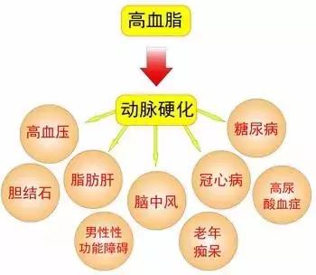 LDL-C、HDL-C、TG傻傻分不清？