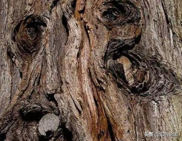 奇楠沉香一克最低价，包含今日沉香木价格多少钱一克的词条