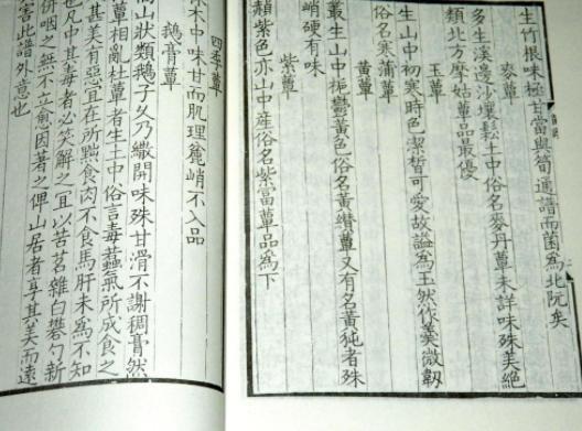 黄色的蘑菇叫什么，黄菌菇图片大全（盘点七种常见食用菌菇）