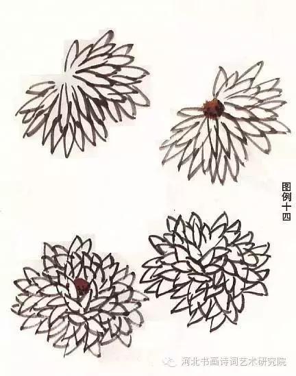 花的画法——菊花的画法，菊花是怎么画（菊花画法大全）