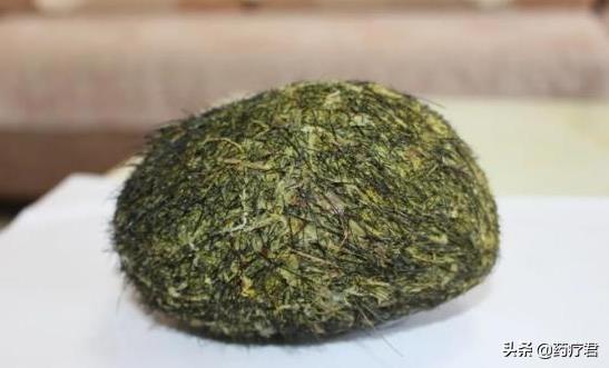 猪宝是什么东西，猪宝是啥玩意（农民意外获得鹅蛋大“猪宝”）