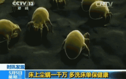 身上有螨虫怎么办，怎么才能清除人身上的螨虫（家庭主妇教你这么做）