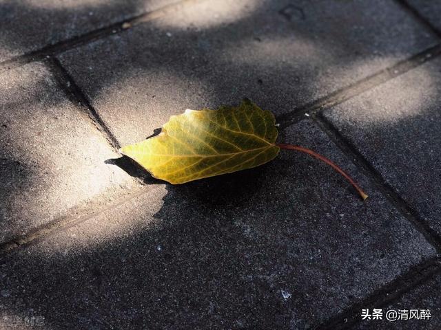 最伤感签名，个人签名经典伤感（伤感到崩溃的个性签名）