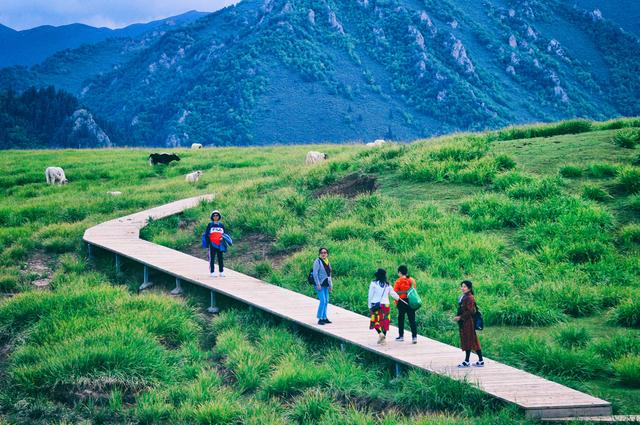 祁连山的位置，祁连山的位置图片（我们自驾走进祁连山国家级自然保护区）