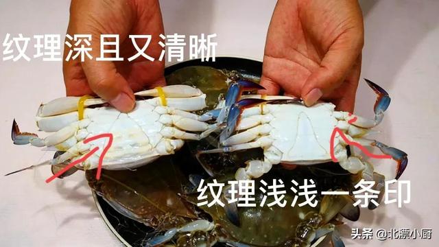 公螃蟹和母螃蟹的区别，公螃蟹和母螃蟹哪个好吃（公蟹和母蟹区别大；牢记3买3不买）
