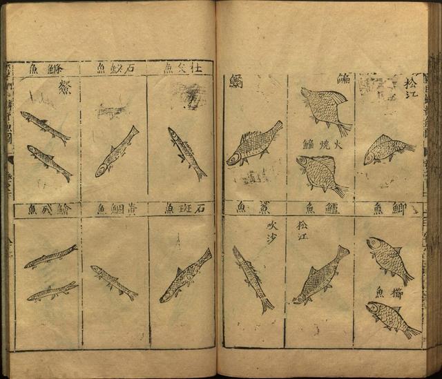 本草纲目全书带图，李时珍本草纲目全书（李时珍著《本草纲目》附图卷）