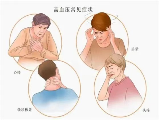 荷叶山楂陈皮泡水喝的功效，荷叶山楂膏喝了有什么功效（高血压病、高血脂症、脂肪肝）