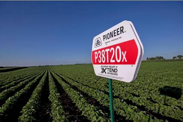 孟山都公司简介，孟山都简介（妄图统治世界的毒公司孟山都）