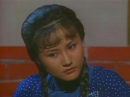 上海滩许文强介绍，上海滩许文强哪里人（许文强那么爱冯程程）