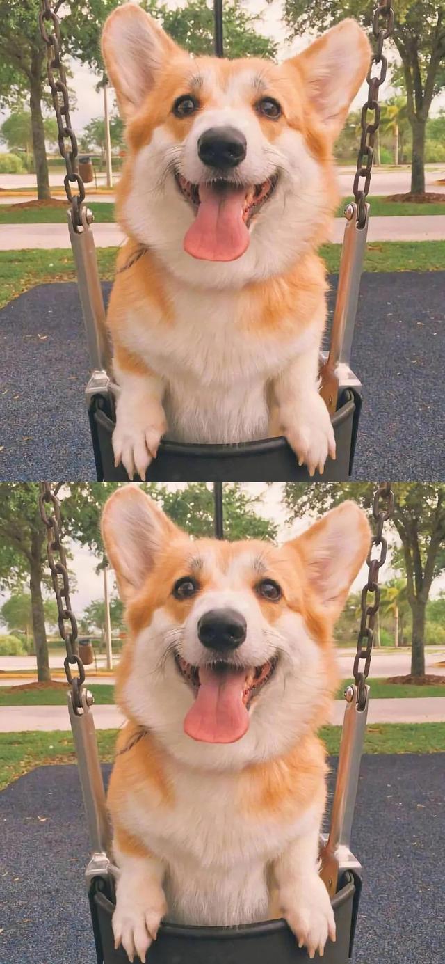 祝有爱者有爱，无爱者自由，祝有爱者有爱是什么意思（祝有爱者依然有爱 无爱者自由图片）