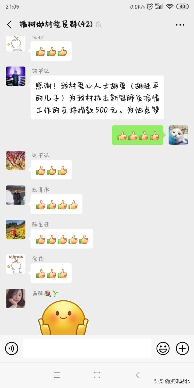 洪先礼什么时候死的，洪先礼是哪里人（麻城市三河口镇槐树坳村青年勇担重任战疫情）