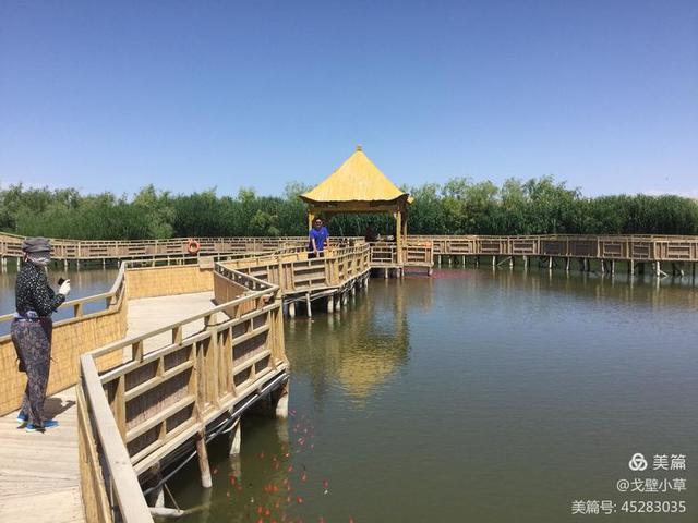 西海在哪里 西海位于哪个地方，西海在哪里（中国最大的内陆淡水吞吐湖）