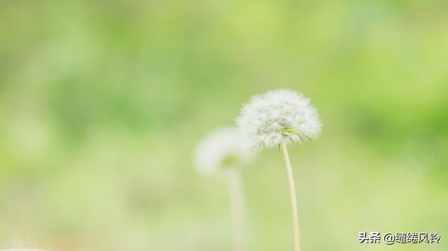 庾澄庆的<静静的>全部歌词，庾澄庆的儿子和女儿（曾是惊鸿照影来......）