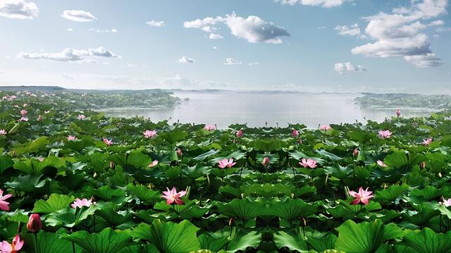 此何遽不为福乎的意思，遽是什么意思（文言文中的代词用法分类详解）