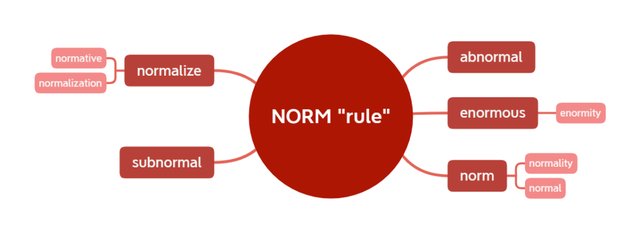 norm什么意思，汽车norm是什么意思（\