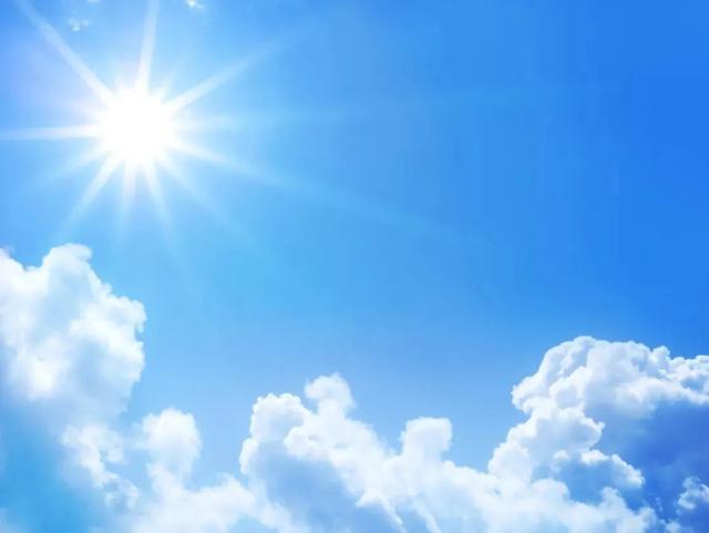 跳虫用什么方法杀死，怎么清除家里跳虫（家里的各种小跳虫到底是什么）