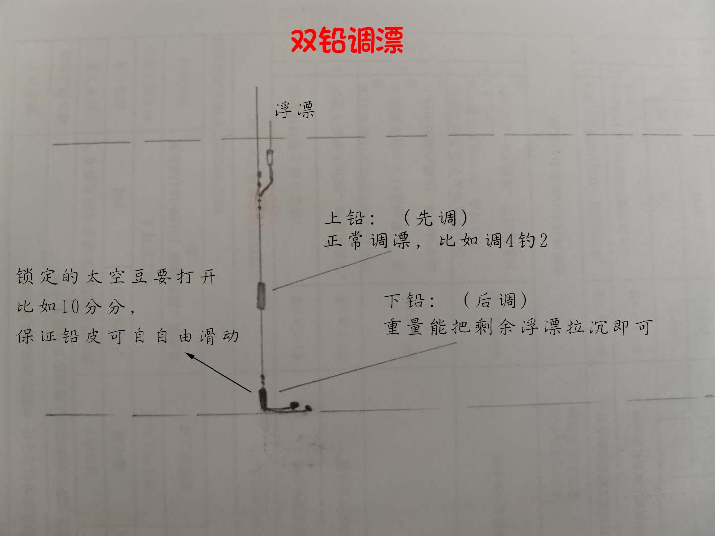 怎么钓鲮鱼(如何钓鲮鱼) - 去钓鱼