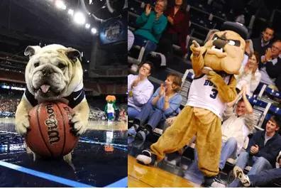 ncaa历届冠军，ncaa名校（115年首冠背后）