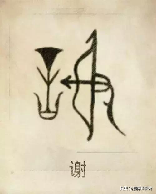 一个草字头一个吕，草字头加吕什么字（中国100大姓氏起源、图腾）