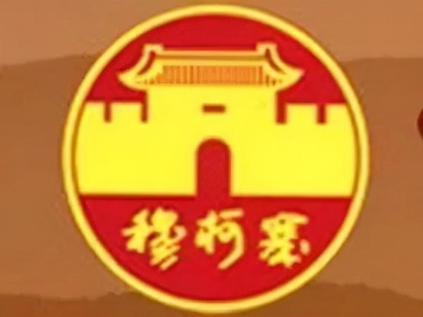 山东多乐采暖锅炉厂，多乐炉子和热立方哪个好（“枣庄老字号”不看不知道）