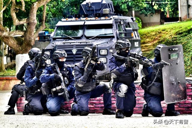特警和武警有什么区别，武警和特警的区别有什么（特警比特种兵更专业）