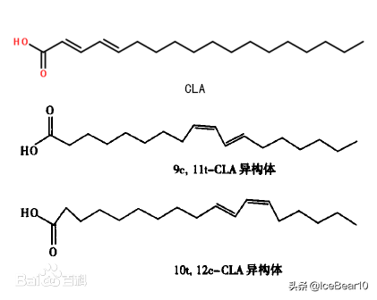 亚油酸的作用及功能，亚麻油酸的功效与作用（一个神奇的减脂补剂——共轭亚油酸）