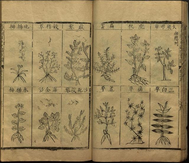 本草纲目全书带图，李时珍本草纲目全书（李时珍著《本草纲目》附图卷）