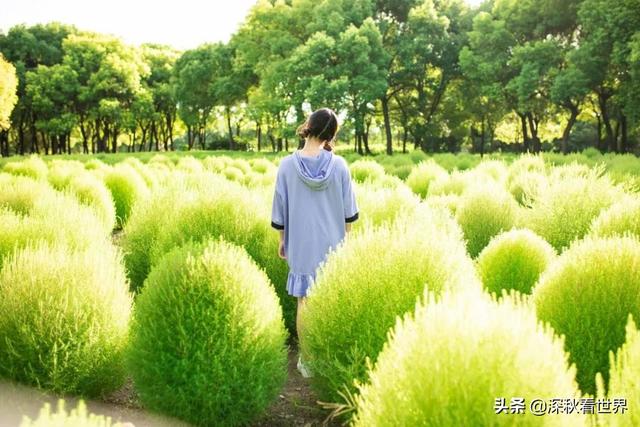 占星直击贾静雯“婚变”风波，世界公认三大最强星座（女人该成长时别把自己惯成小女孩）