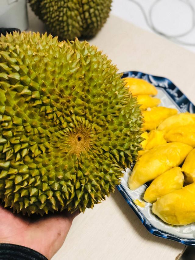 榴莲有几个品种，榴莲的品种有几种（五种常见榴莲品种）