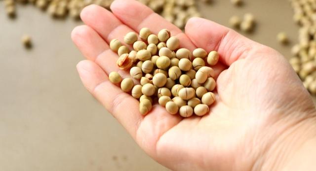 汤圆太好吃了买了好多次不甜不腻，汤圆别直接煮着吃了