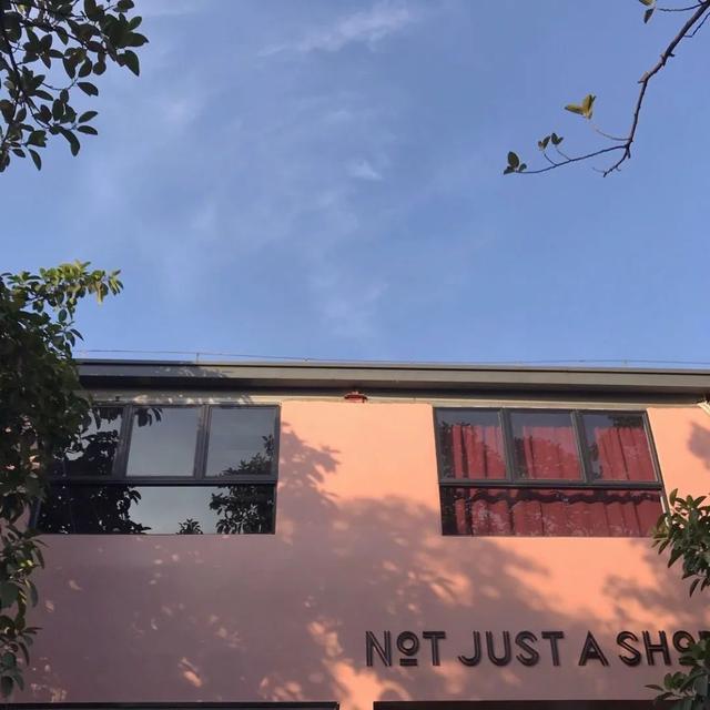 ins是什么意思啊，ins是什么（ins风是什么）