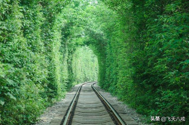 南京景点介绍，南京一日游必去景点推荐（南京九个不得不去的小众景点）