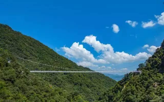 韶关云门寺，韶关云门寺图片（韶关这座色彩斑斓的古寺现在去正好）