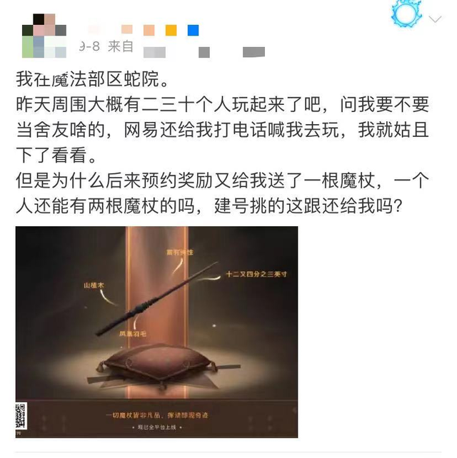 哈利为什么不能娶赫敏，赫敏最后恢复了父母的记忆吗（哈利波特为何没有跟赫敏在一起）