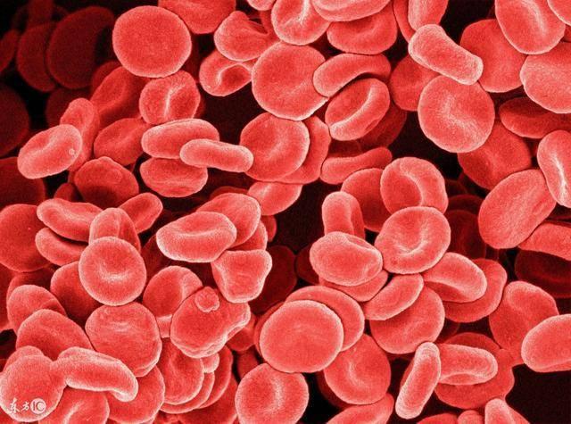 献血浆对女人身体好还是不好，女人不生孩子对身体有影响吗（女生献血伤身？——血液的常识）