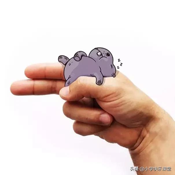  豹子用英语怎么说，豹子英语是什么（小学26个英文字母的有趣手势法） 