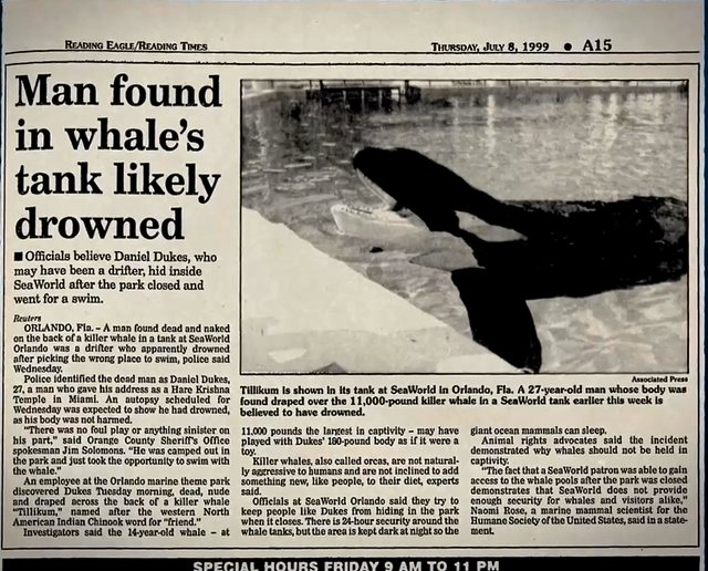 虎鲸为什么叫杀人鲸，虎鲸为什么杀鲸鱼（精彩的表演之下隐藏了怎样的悲剧）