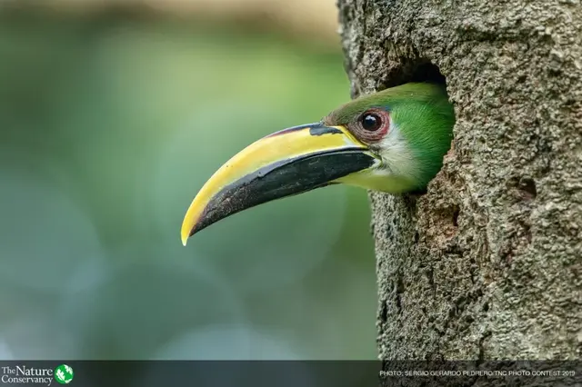 怦然心动美图，怦然心动最新图片（美图 ， 这一瞬间的怦然心动）