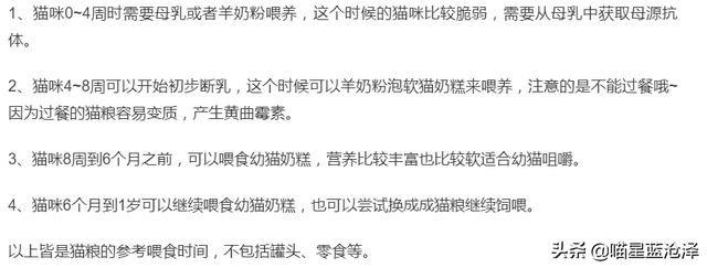 凌采露华官网，关于幼猫你不知道的第4件事——幼猫该吃什么东西