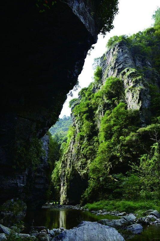 宏村在哪里，安徽宏村在哪里（宏村、西递等旅游景区恢复开放）