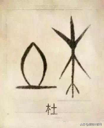 一个草字头一个吕，草字头加吕什么字（中国100大姓氏起源、图腾）