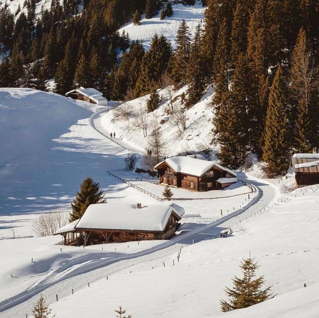 唯美头像，唯美头像女有气质迷人（唯美头像+背景图套图）