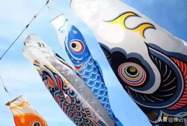 黄鲤鱼可以吃吗，黄金锦鲤鱼可以吃吗（还能不能成为“豫菜头牌”）