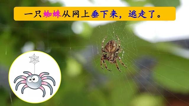 雷雨课文原文，雷雨课文原文（雷雨（二语下第16课《雷雨》课堂实录+笔记+知识梳理+课后练习+答案）