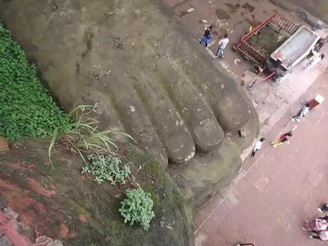 乐山大佛在哪，乐山大佛在哪里哪个省哪个市（四川乐山大佛）