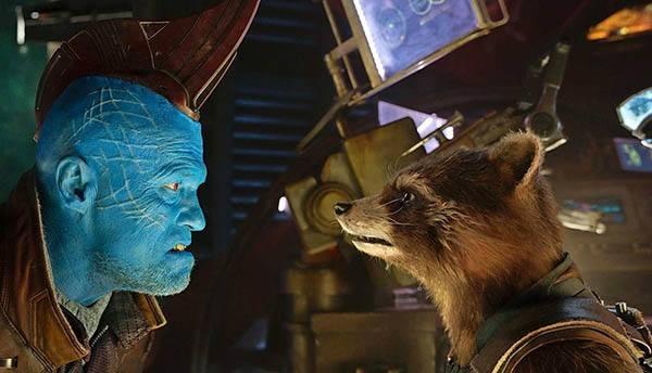 raccoon是什么动物，raccoon是什么动物parrot（《漫威系列》每天一个漫威人物介绍—火箭浣熊）