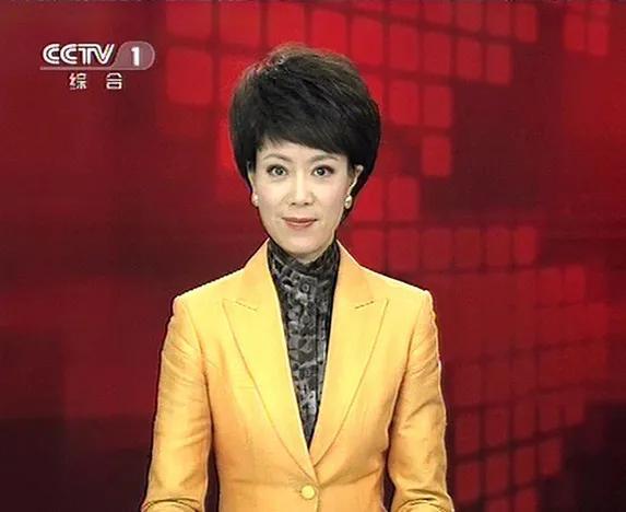 女孩适合学什么技术，女孩子学个什么技术好（央视美女主持人：文静）